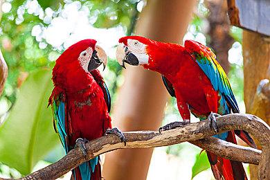 《秘影曼德拉》1.6更新上线 国区折后仅需96.75元